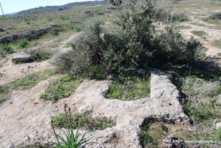 Contrada Fildidonna